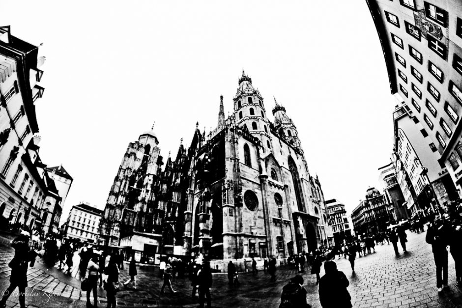 Lead image: Vienna And A Fisheye Lens