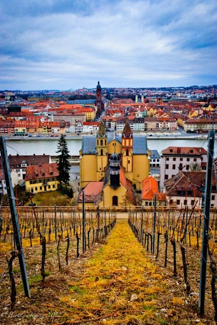 The view from Marienberg - 6