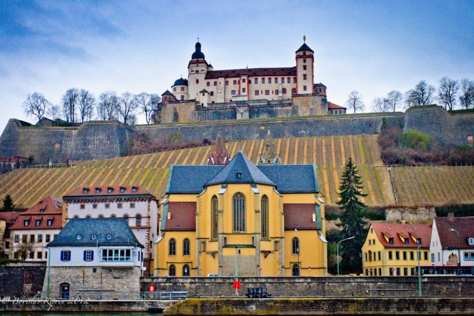 The vineyards around Marienberg