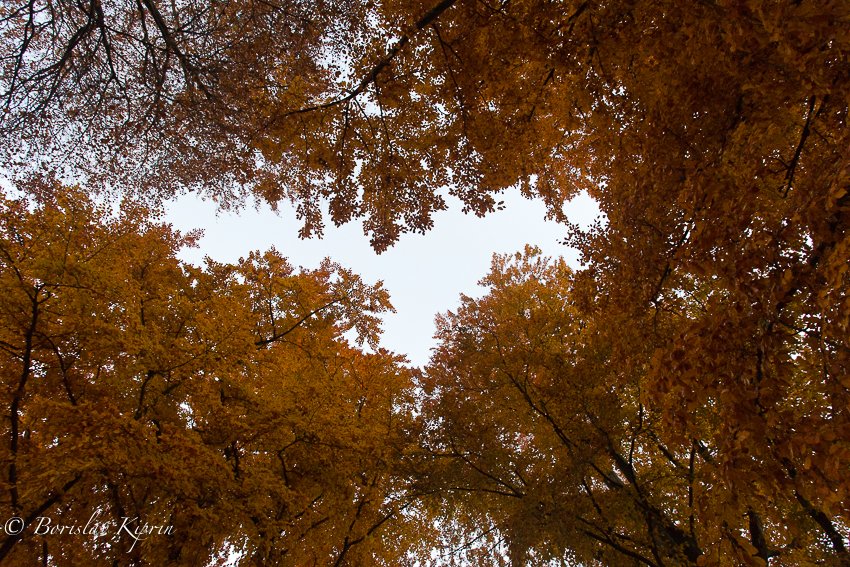 Lead image: Cesky Krumlov – A Day Trip